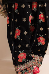 ZN577-Embroidered Velvet Dress With Organza embroidered Dopata