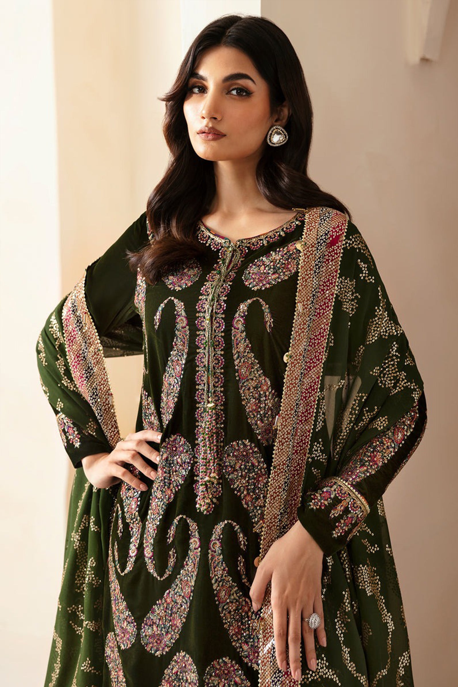ZN1106Winter Embroidered Velvet Dress With Organza embroidered Dopata