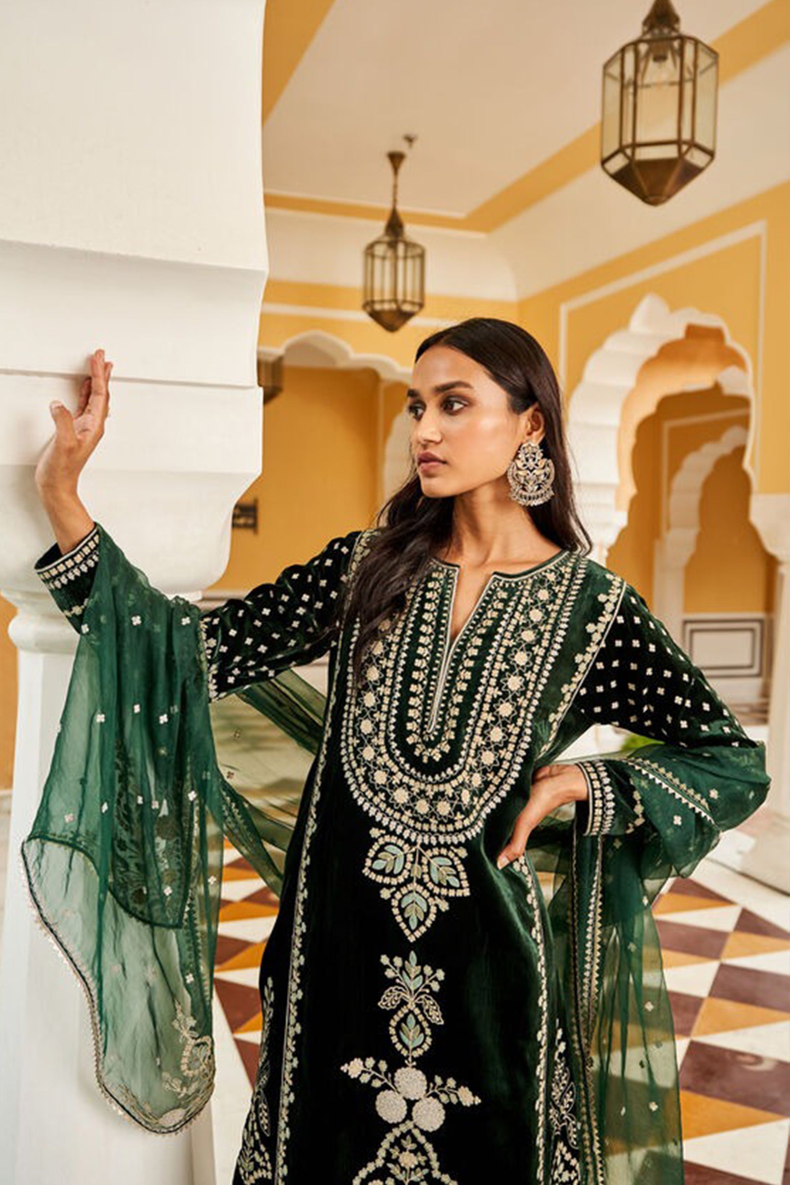 ZN1105 Winter Embroidered Velvet Dress With Organza embroidered Dopata