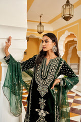ZN1105 Winter Embroidered Velvet Dress With Organza embroidered Dopata