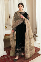 ZN1118-Winter Embroidered Velvet Dress With Organza embroidered Dopata