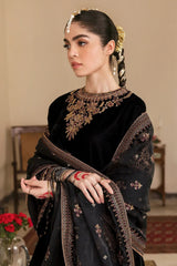 ZN563-Winter Embroidered Velvet Dress With Organza embroidered Dopata