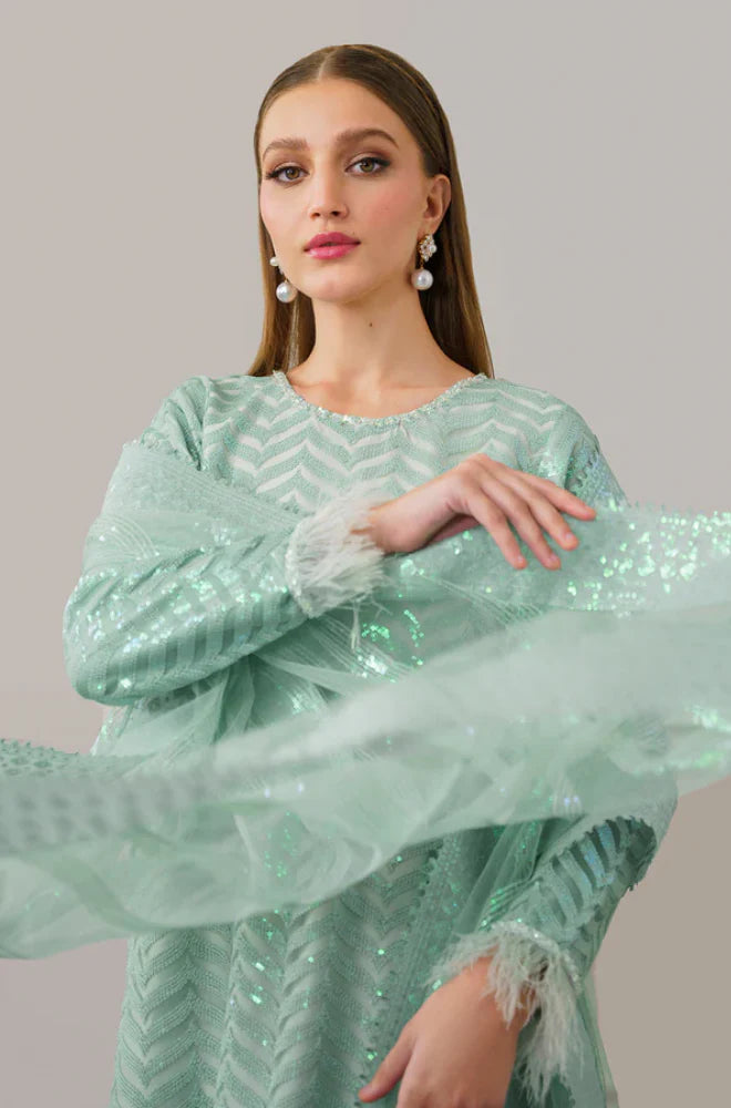 ZN915- Winter 3 Piece - Organza Embroidered Suit