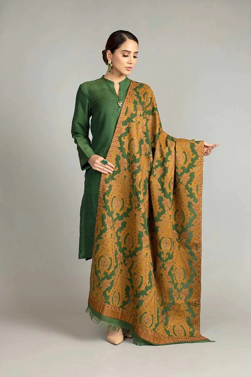 ZN540-WINTER 3 Piece Dhanak Suit with digital printed wool shawll