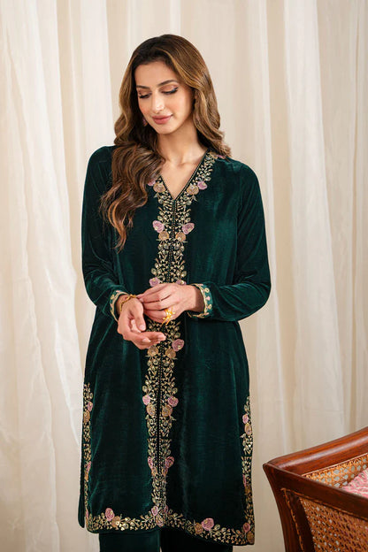 ZN630-WINTER Velvet Embroidered Dress With Organza embroidered Dopata