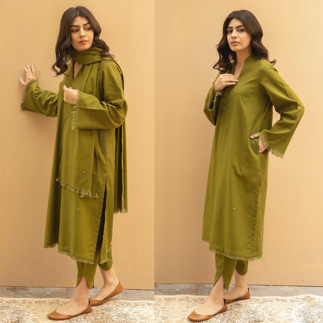 ZN564-Winter 3PC Dhannak Embroidered Suit with Dhanak Embroidered Shawll