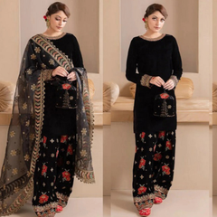 ZN577-Embroidered Velvet Dress With Organza embroidered Dopata