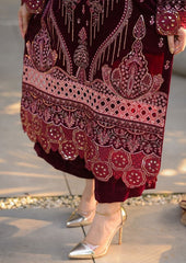 ZN1240  Winter Embroidered Velvet Dress With Organza embroidered Dopata