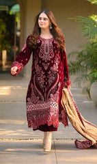ZN1240 Winter Embroidered Velvet Dress With Organza embroidered Dopata - ZoniyaClothing