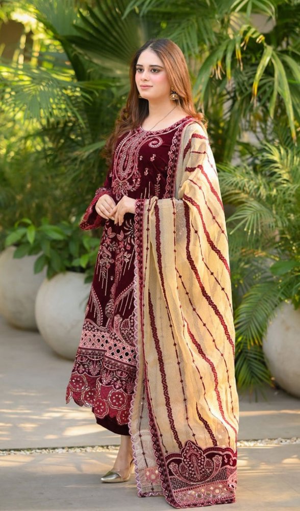 ZN1240 Winter Embroidered Velvet Dress With Organza embroidered Dopata - ZoniyaClothing