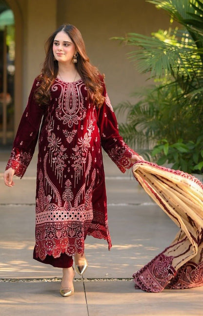 ZN1240 Winter Embroidered Velvet Dress With Organza embroidered Dopata - ZoniyaClothing