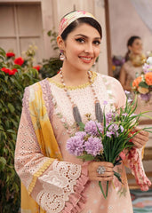 ZN079 - MUSHQ 3PC EMBROIDERED LAWN SUIT WITH PRINTED SILK DUPATTA - ZoniyaClothing